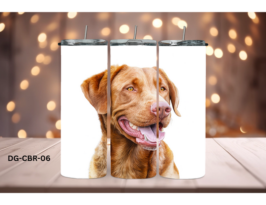 20oz (590mls) Tumbler - Retriever - DG-CBR-06